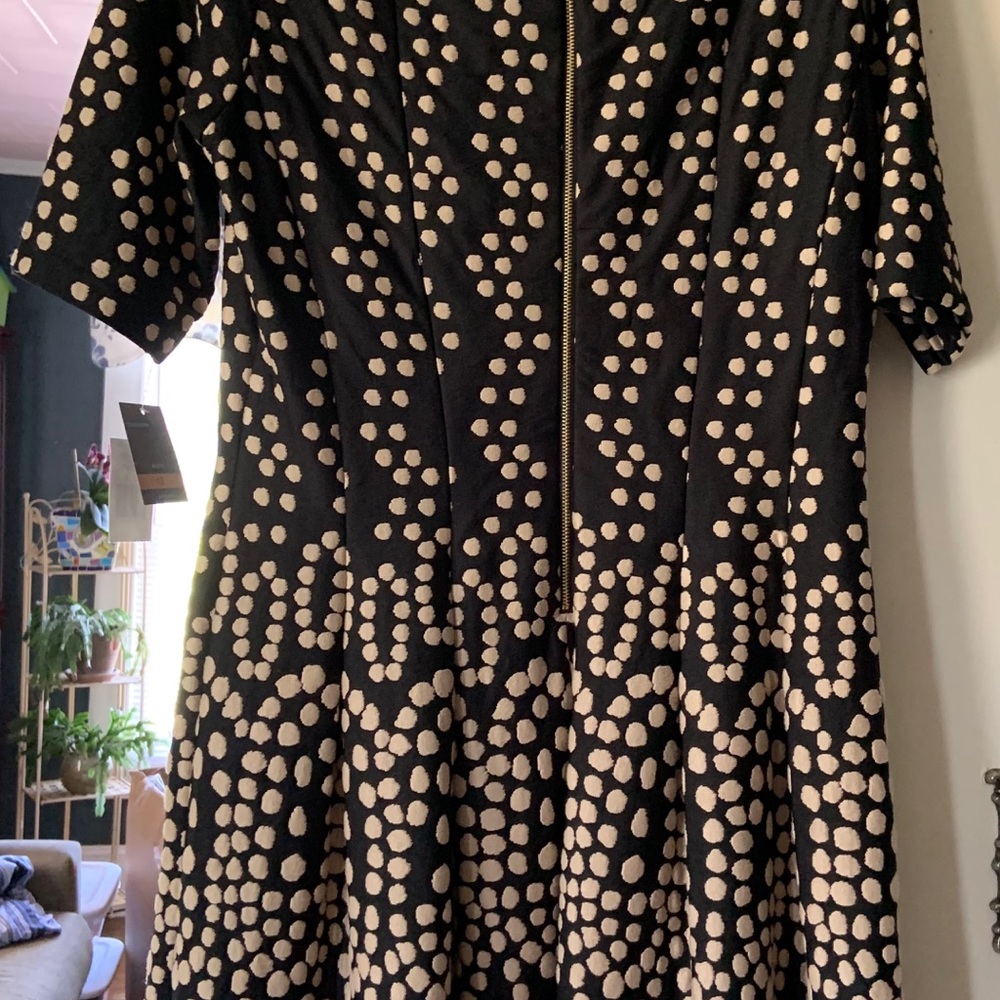 Polka dots